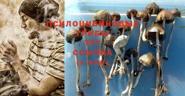 МДМА Абаза