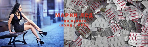 прущие грибы Алексин