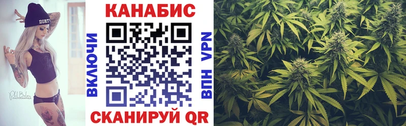 Бошки Шишки SATIVA & INDICA  где купить наркотик  Тарко-Сале 